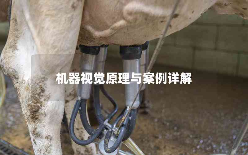 機器視覺原理與案例詳解 機器視覺原理與案例詳解