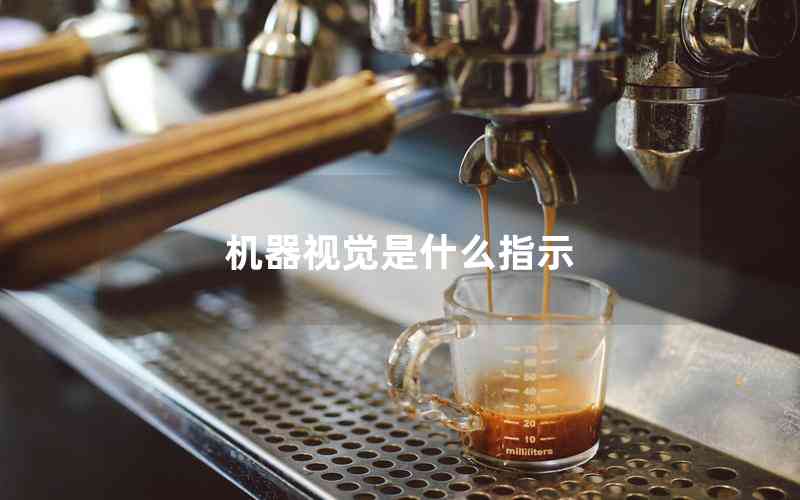 機(jī)器視覺是什么指示 機(jī)器視覺是什么指示