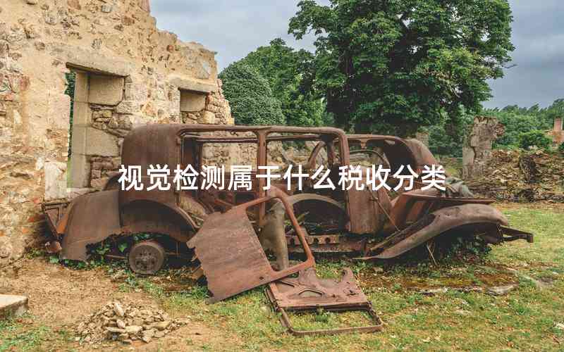 視覺(jué)檢測(cè)屬于什么稅收分類 視覺(jué)檢測(cè)屬于什么稅收分類