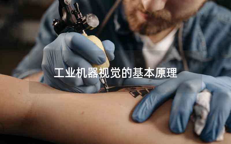工業(yè)機(jī)器視覺的基本原理 工業(yè)機(jī)器視覺的基本原理