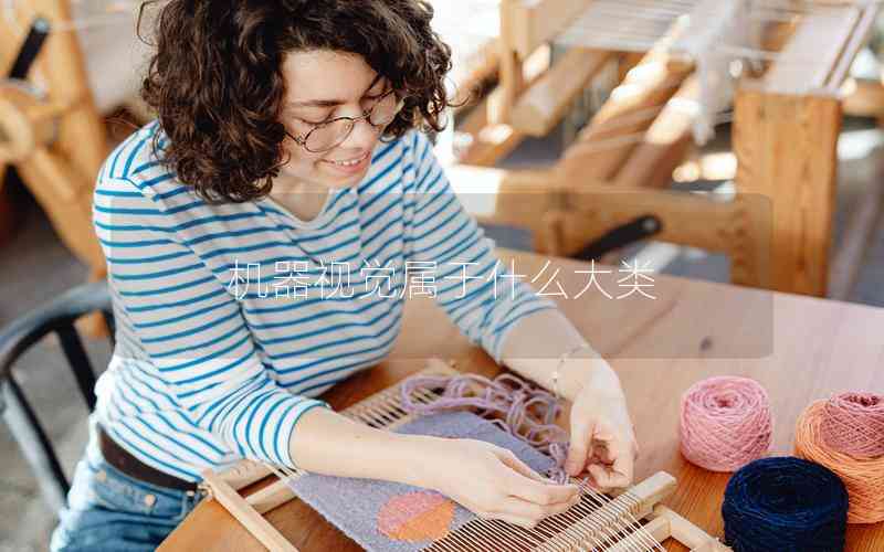 機器視覺屬于什么大類 機器視覺屬于什么大類