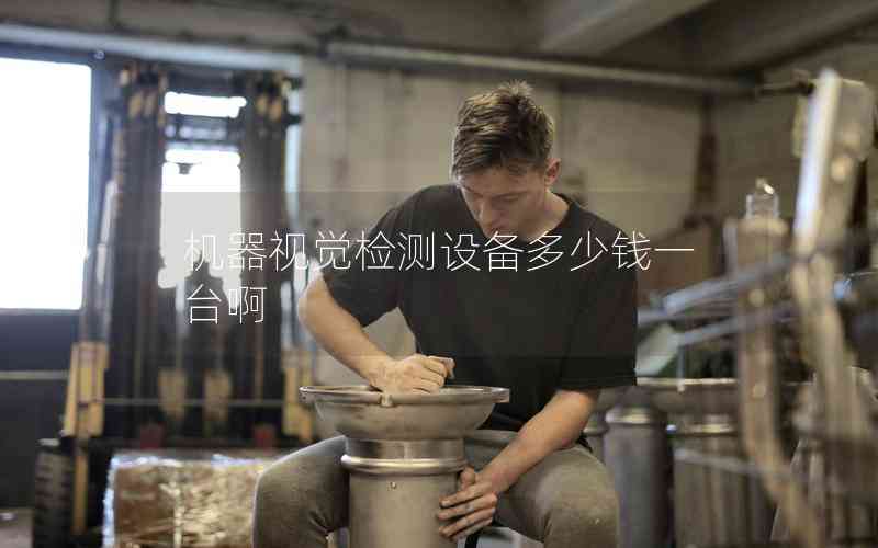 機(jī)器視覺(jué)檢測(cè)設(shè)備多少錢(qián)一臺(tái)啊 機(jī)器視覺(jué)檢測(cè)設(shè)備多少錢(qián)一臺(tái)啊