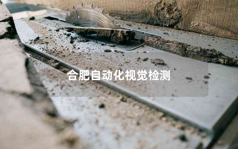 合肥自動化視覺檢測 合肥自動化視覺檢測