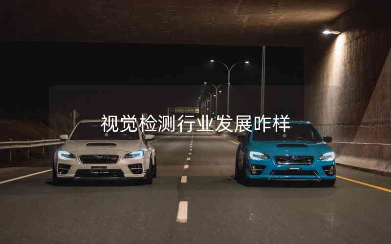 視覺檢測行業(yè)發(fā)展咋樣 視覺檢測行業(yè)發(fā)展咋樣