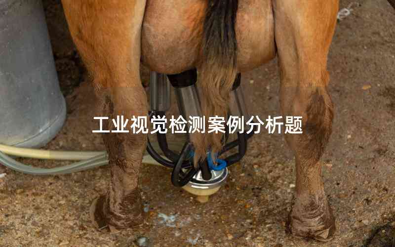 工業(yè)視覺檢測案例分析題 工業(yè)視覺檢測案例分析題