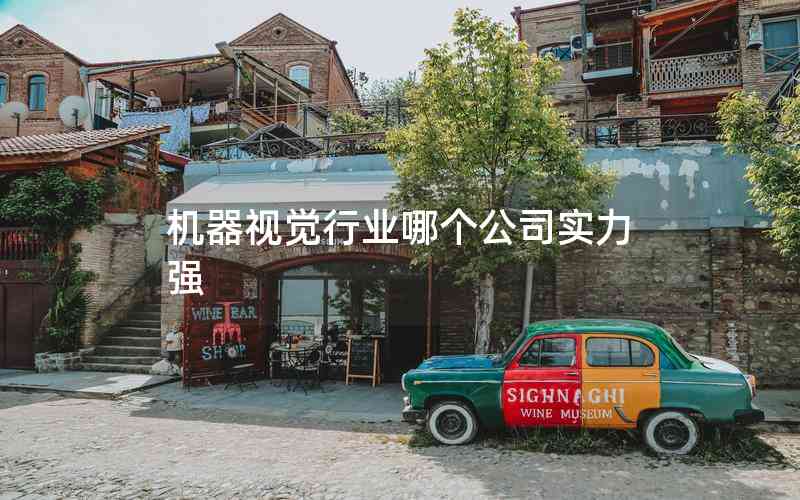 機器視覺行業(yè)哪個公司實力強 機器視覺行業(yè)哪個公司實力強