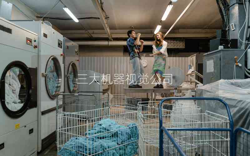 三大機(jī)器視覺公司 三大機(jī)器視覺公司
