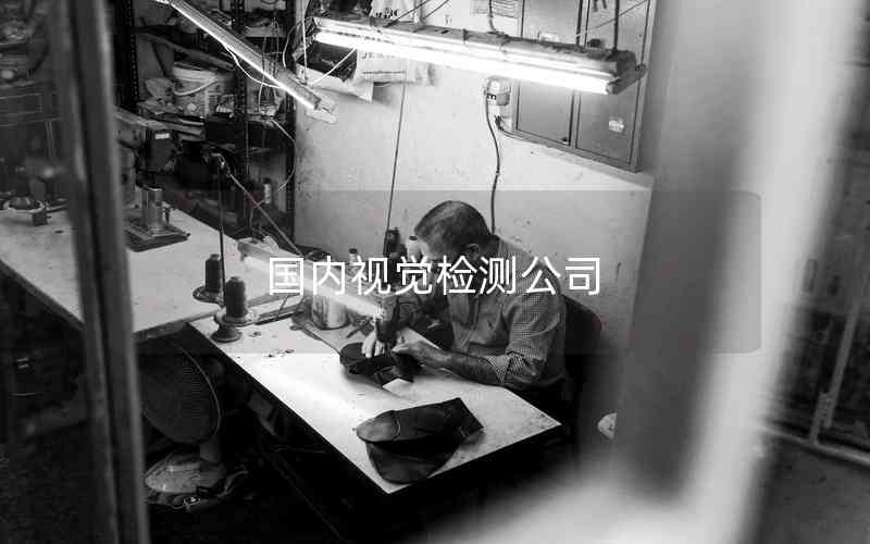 國內視覺檢測公司 國內視覺檢測公司