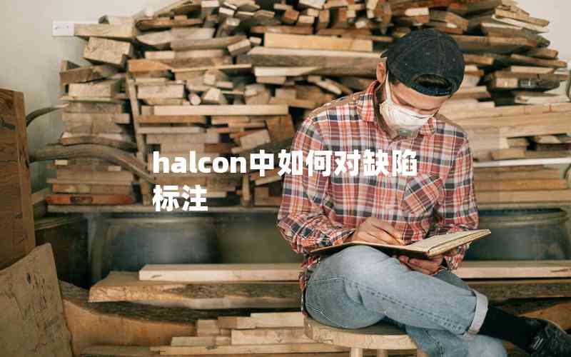 halcon中如何對(duì)缺陷標(biāo)注 halcon中如何對(duì)缺陷標(biāo)注