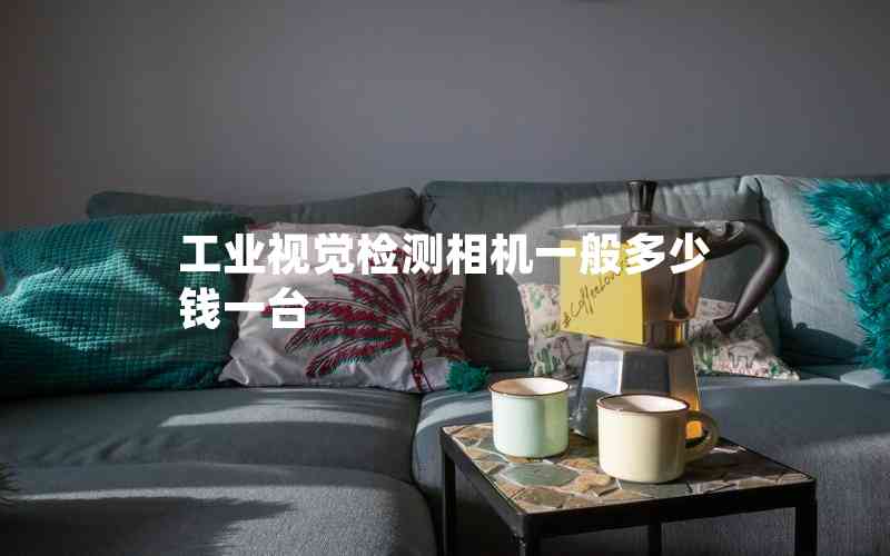 工業(yè)視覺檢測(cè)相機(jī)一般多少錢一臺(tái)