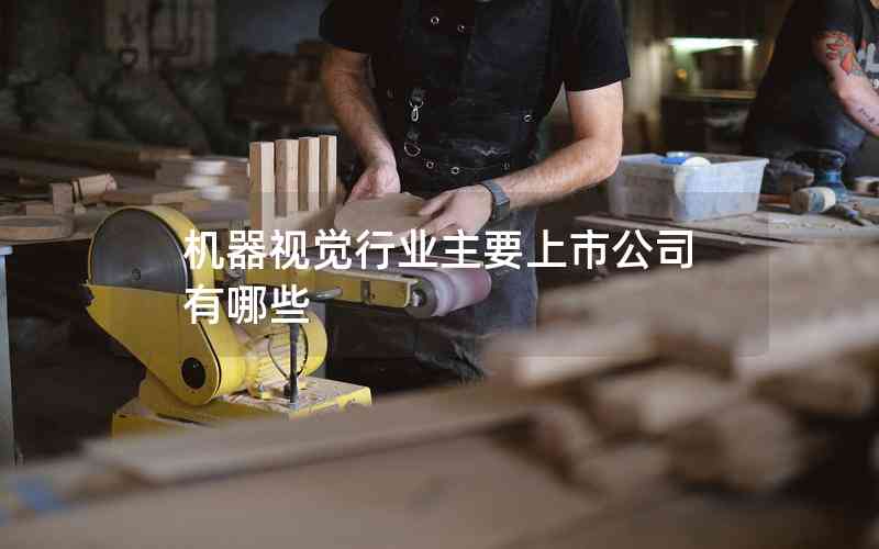 機器視覺行業(yè)主要上市公司有哪些 機器視覺行業(yè)主要上市公司有哪些