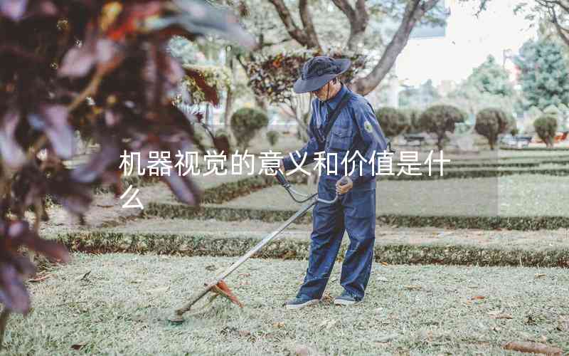 機(jī)器視覺的意義和價值是什么 機(jī)器視覺的意義和價值是什么