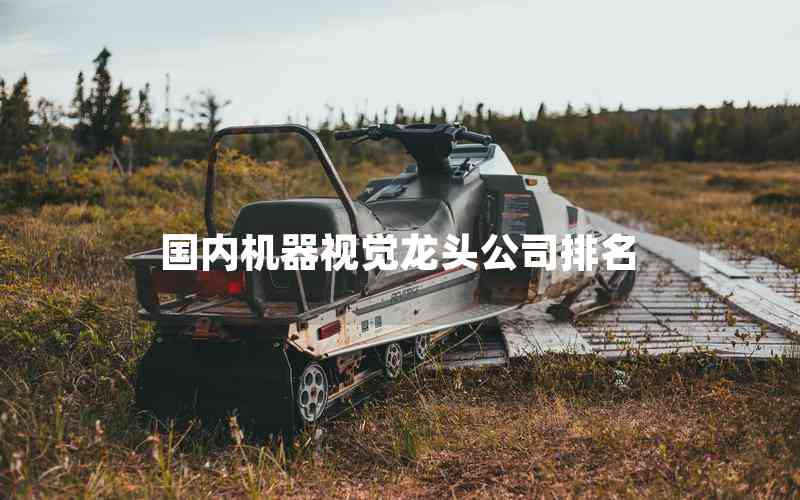 國內(nèi)機器視覺龍頭公司排名 國內(nèi)機器視覺龍頭公司排名