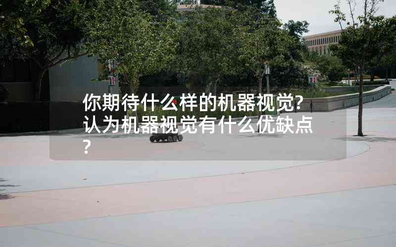你期待什么樣的機(jī)器視覺(jué)?認(rèn)為機(jī)器視覺(jué)有什么優(yōu)缺點(diǎn)? 你期待什么樣的機(jī)器視覺(jué)?認(rèn)為機(jī)器視覺(jué)有什么優(yōu)缺點(diǎn)?