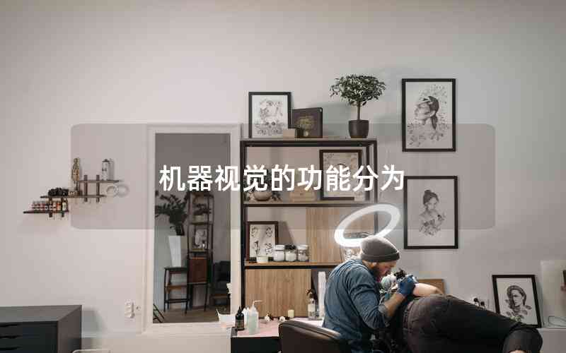 機器視覺的功能分為 機器視覺的功能分為