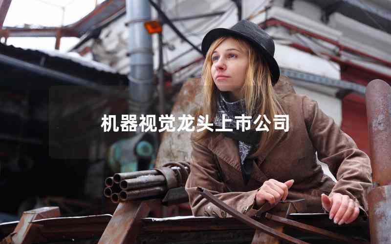 機(jī)器視覺龍頭上市公司 機(jī)器視覺龍頭上市公司