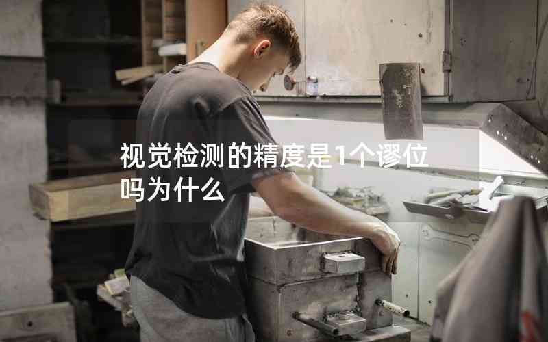 視覺檢測的精度是1個謬位嗎為什么
