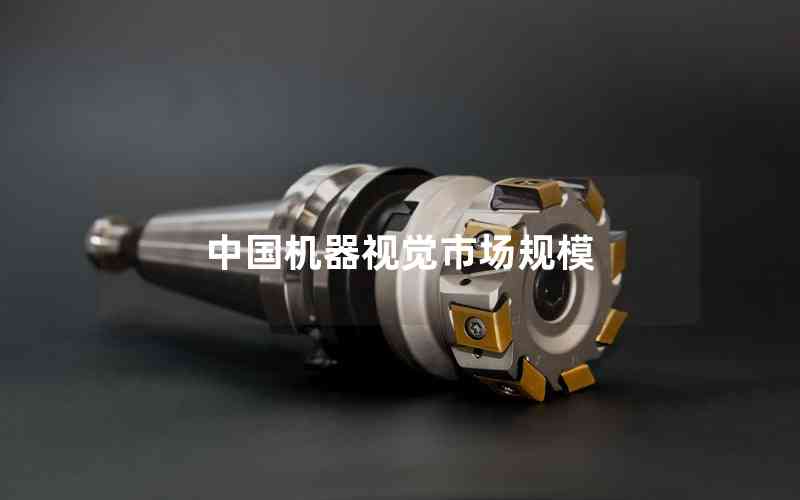 中國(guó)機(jī)器視覺市場(chǎng)規(guī)模 中國(guó)機(jī)器視覺市場(chǎng)規(guī)模