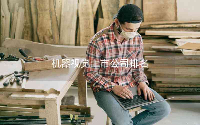 機器視覺上市公司排名
