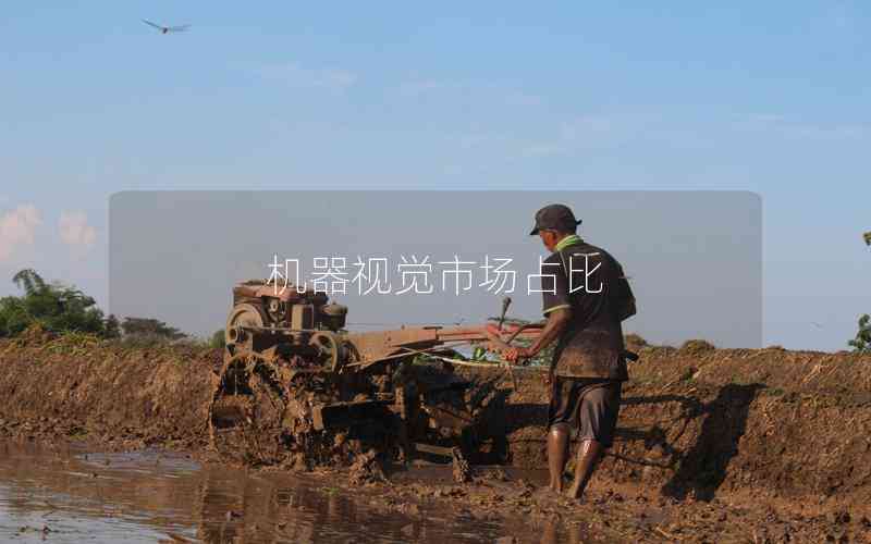 機(jī)器視覺市場占比 機(jī)器視覺市場占比