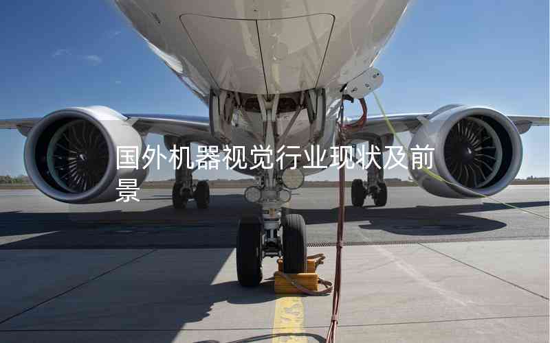 國外機(jī)器視覺行業(yè)現(xiàn)狀及前景 國外機(jī)器視覺行業(yè)現(xiàn)狀及前景