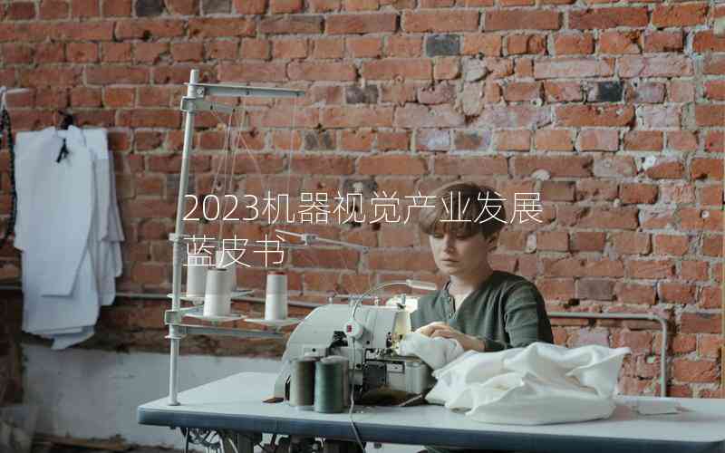 2023機器視覺產業(yè)發(fā)展藍皮書 2023機器視覺產業(yè)發(fā)展藍皮書