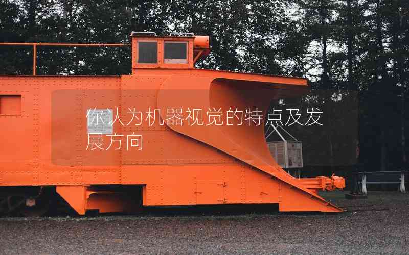 你認(rèn)為機(jī)器視覺(jué)的特點(diǎn)及發(fā)展方向 你認(rèn)為機(jī)器視覺(jué)的特點(diǎn)及發(fā)展方向