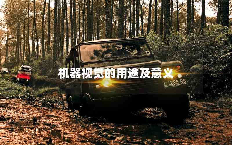 機(jī)器視覺(jué)的用途及意義 機(jī)器視覺(jué)的用途及意義