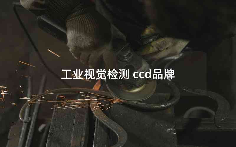 工業(yè)視覺檢測 ccd品牌 工業(yè)視覺檢測 ccd品牌