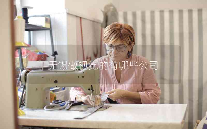 無錫做視覺的有哪些公司 無錫做視覺的有哪些公司