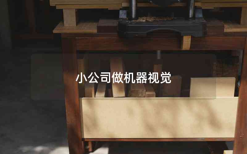 小公司做機(jī)器視覺 小公司做機(jī)器視覺