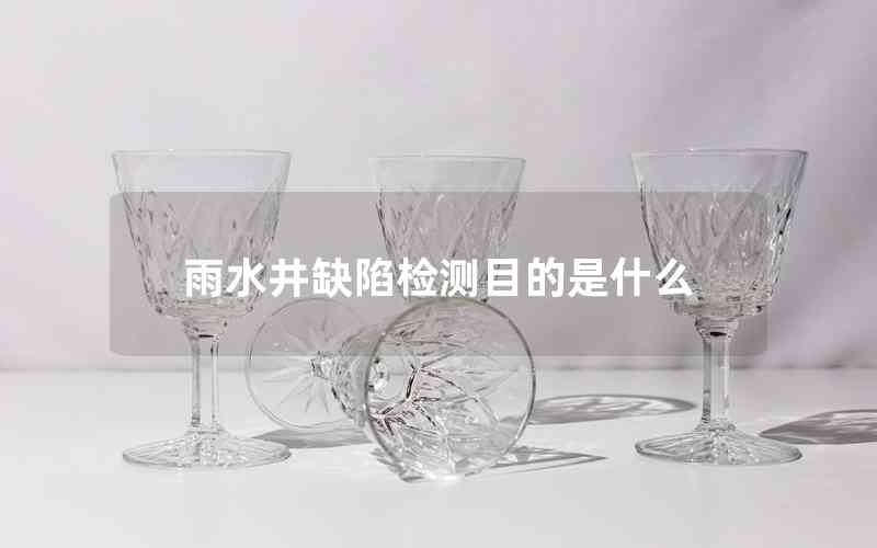 雨水井缺陷檢測目的是什么 雨水井缺陷檢測目的是什么