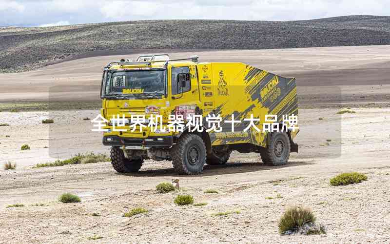 全世界機器視覺十大品牌 全世界機器視覺十大品牌