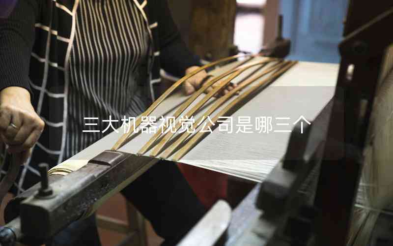三大機(jī)器視覺公司是哪三個 三大機(jī)器視覺公司是哪三個