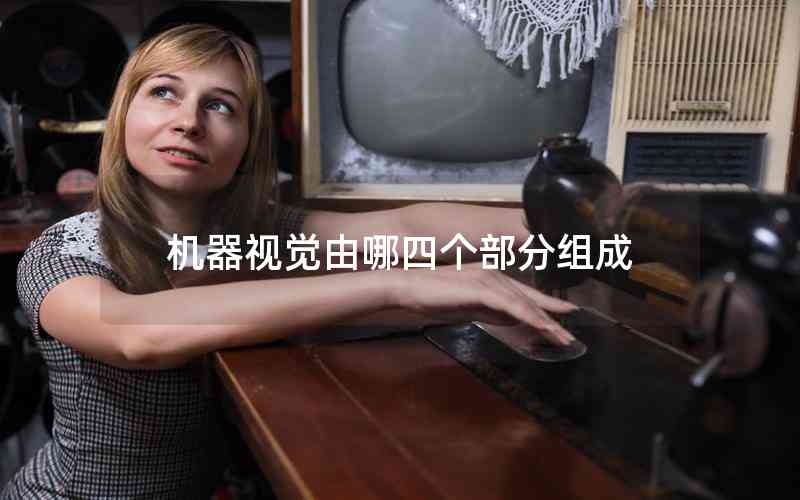 機器視覺由哪四個部分組成 機器視覺由哪四個部分組成