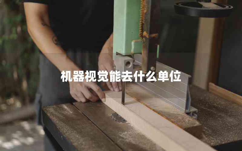 機器視覺能去什么單位 機器視覺能去什么單位