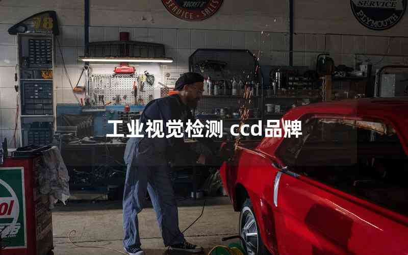 工業(yè)視覺檢測 ccd品牌 工業(yè)視覺檢測 ccd品牌