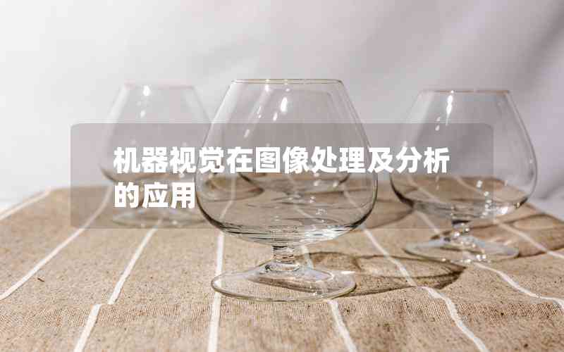 機器視覺在圖像處理及分析的應用 機器視覺在圖像處理及分析的應用