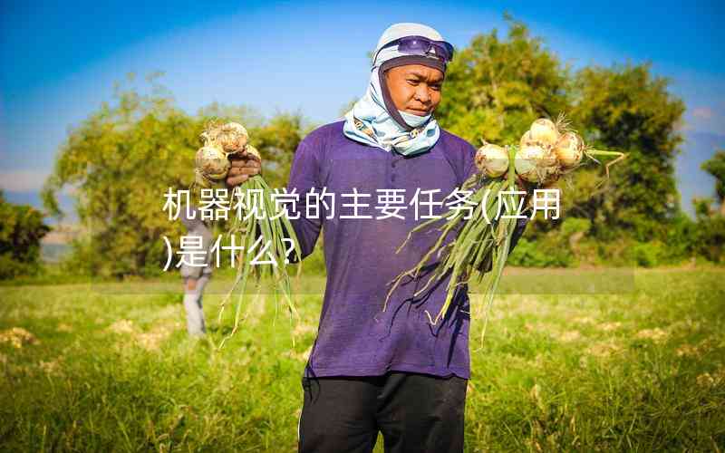 機(jī)器視覺的主要任務(wù)(應(yīng)用)是什么? 機(jī)器視覺的主要任務(wù)(應(yīng)用)是什么?